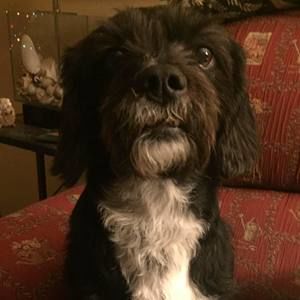 Meet your Posher, Christine